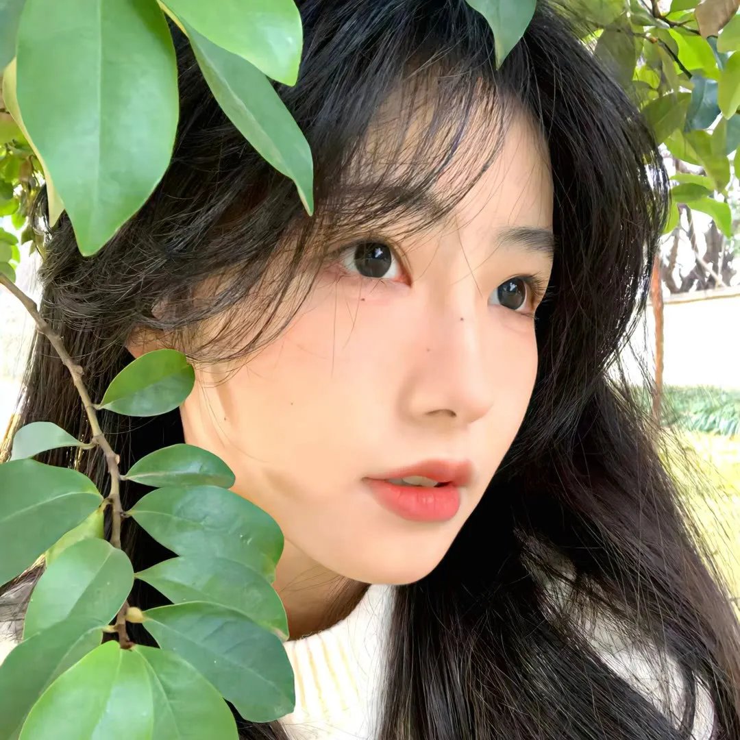 极黑的布伦希尔特